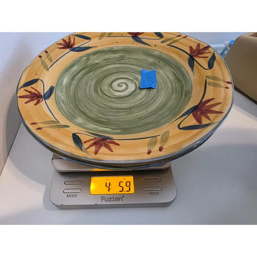 PIER 1 Elizabeth Hand Painted Floral Stoneware Dinner Plates 11.5” Set of 2